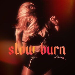 “slow burn”的封面