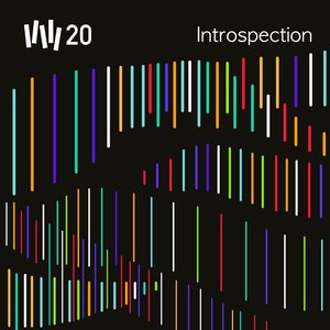 Image for 'VW20: Introspection'