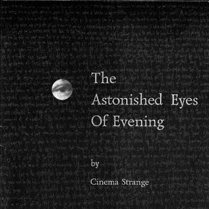 Image for 'The Astonished Eyes of Evening'