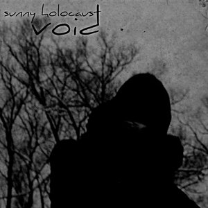 Image for 'Void'