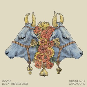 Изображение для 'Live at The Salt Shed'