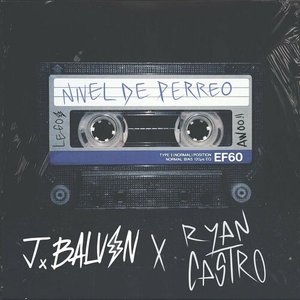 Image for 'Nivel De Perreo'