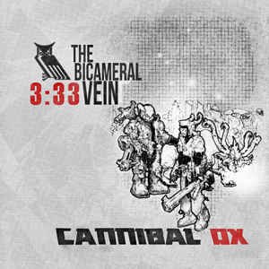 'The Cold Vein (Remixed by 3: 33)' için resim