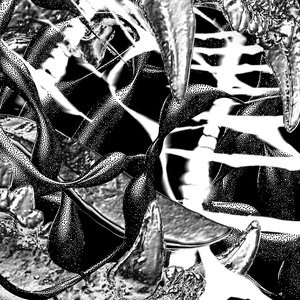 Image for 'ΑΘΗΝΑ2004'