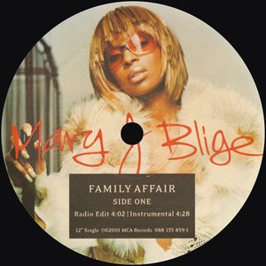 Изображение для 'Family Affair (Remixes)'