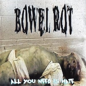 Image for 'All You Need Is Hate'