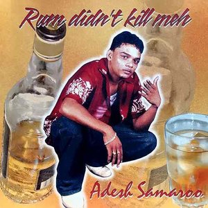 “Rum Didn't Kill Meh”的封面