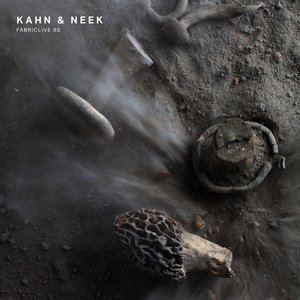 Image pour 'FABRICLIVE 90: Kahn & Neek'