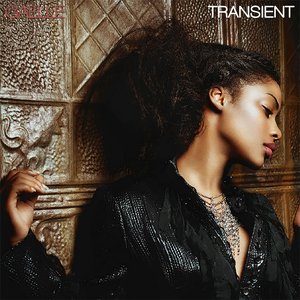 Image for 'Transient'