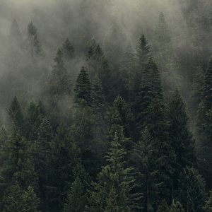 “Причалы и пристани”的封面
