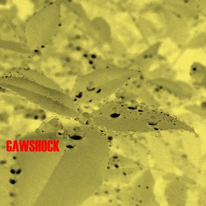 Imagen de 'Gawshock'