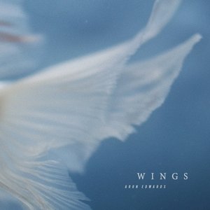 Imagem de 'Wings'