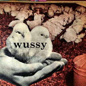 Image for 'Wussy'