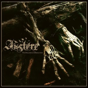 Image for 'The Stillness of Dissolution'