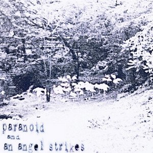 “paranoid and an angel strikes”的封面