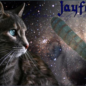 Jayfeather_7