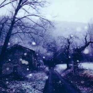 Immagine per 'Chiharu Kaneko'