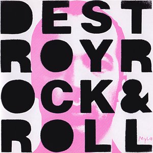 'Destroy Rock & Roll'の画像