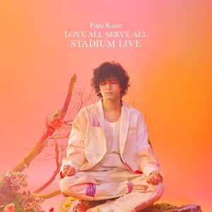 Image for 'LOVE ALL SERVE ALL STADIUM LIVE'