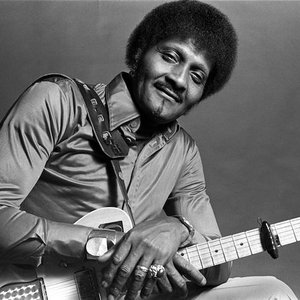 Image for 'Albert Collins'