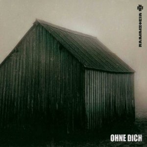 Bild für 'Ohne Dich (Single)'