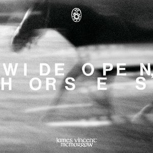 Image pour 'Wide open, horses'