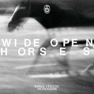 Immagine per 'Wide open, horses'