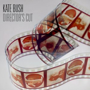 “Director's Cut”的封面