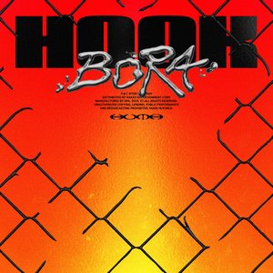 'HOOK'の画像
