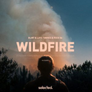 Bild für 'Wildfire'