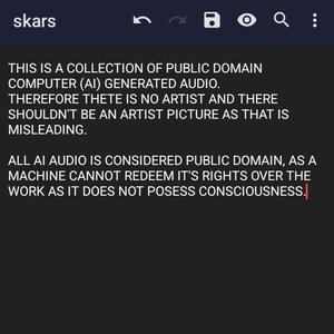 Image for 'skars'