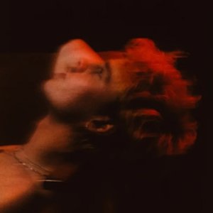 Image for 'Pleaser'