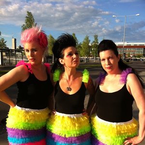 Image for 'the koo-koos'