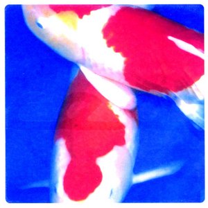 Image for 'Oceane'