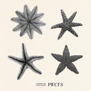 'Pieces'の画像