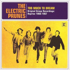 Image for 'Too Much to Dream, Original Group Recordings: Reprise 1966-1967'