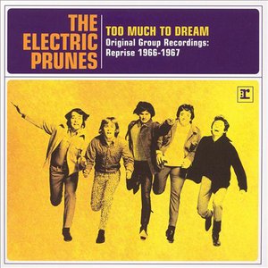 Immagine per 'Too Much to Dream, Original Group Recordings: Reprise 1966-1967'