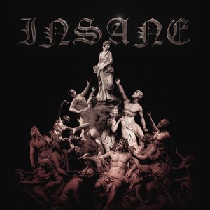 “Insane”的封面
