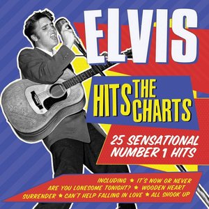 Image for 'Elvis Hits The Charts'