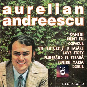 Image for 'Aurelian Andreescu'