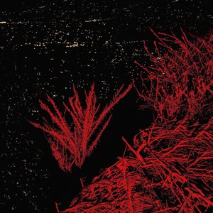 Image for 'Scream Through The Trees'
