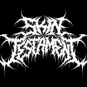 Image for 'Skin Testament'