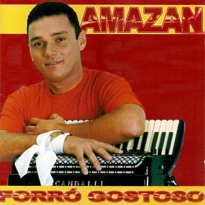 Image pour 'Forró Gostoso'