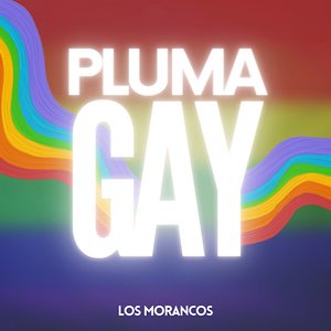 Image for 'Pluma Gay'