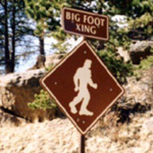 Image pour 'The Legend of Bigfoot'