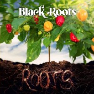 Image for 'Roots'