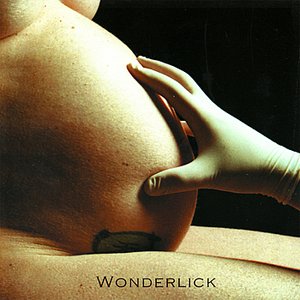 Image for 'Wonderlick'