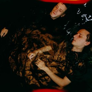 “These New Puritans”的封面