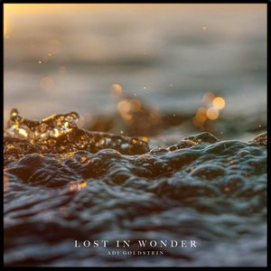 Image for 'Lost in Wonder'