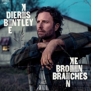 Immagine per 'Broken Branches'